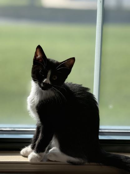 Maggie Mae